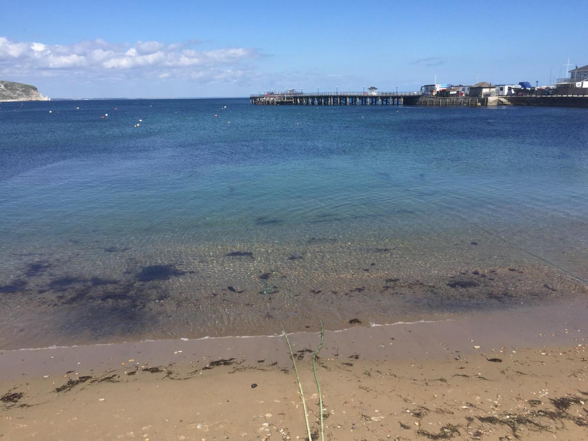 Ocean View Daire Swanage Dış mekan fotoğraf